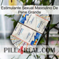 Big Penis Male Sexual Stimulant kamagra1